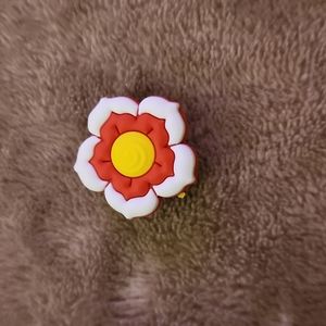 💥 5/$15 Croc Charm